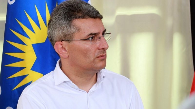 Мдинарадзе разъяснил свое заявление о лишении бойцов воюющих в Украине гражданства Грузии