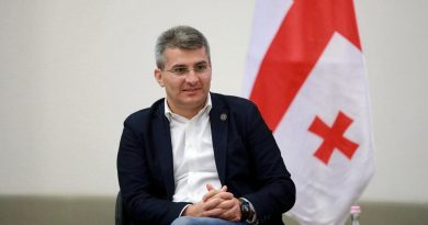 Мдинарадзе считает, что заявление Зеленского по Саакашвили обеспечили «авторы спецоперации по втягиванию Грузии в войну»