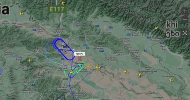 Несколько самолетов не смогли совершить посадку в аэропорту Тбилиси из-за плохой погоды