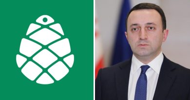 Партия «Гирчи — больше свободы» ответила на заявление премьера Грузии