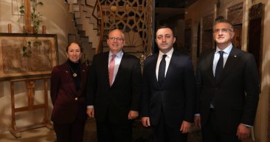 Премьер Грузии встретился с главным советником Госдепартамента США