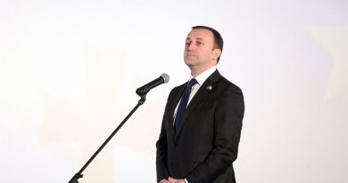 Премьер Грузии заявил об «оркестрированной атаке на национальные интересы страны»