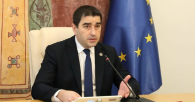 Спикер Парламента Грузии выразил в соболезнования в связи с гибелью грузинских бойцов в Украине