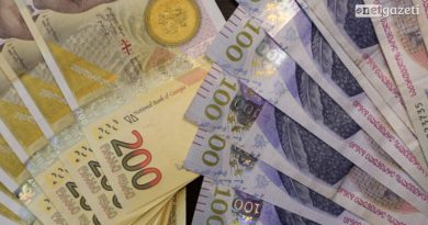 Средняя зарплата в Грузии составляет 1 595 лари — «Сакстат»