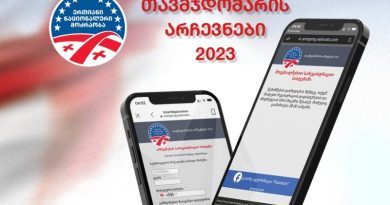 В Грузии началась регистрация избирателей на выборы председателя ЕНД