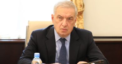 Вице-спикер парламента Грузии раскритиковал заявление Подоляка