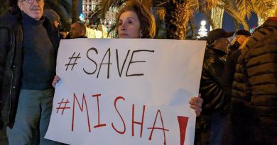 Во многих городах Грузии и мира сегодня прошли акции солидарности с Саакашвили