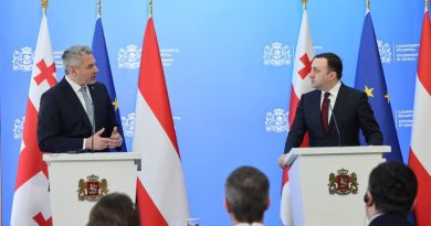 Канцлер Австрии пообещал помочь Грузии на пути к вступлению в ЕС