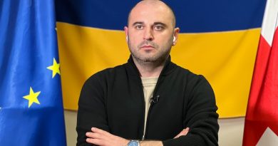 Леван Хабеишвили избран председателем «Национального движения»
