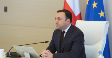Премьер-министр Грузии выразил соболезнования семьям погибших в Сагареджо