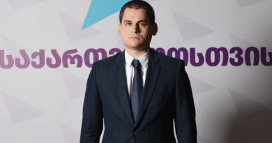 Член партии «За Грузию» о выборах в «Нацдвижении»: «Победу одержал господин Иванишвили»