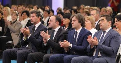 DRI: «Грузинская мечта» не выполняет 8-ю рекомендацию ЕС