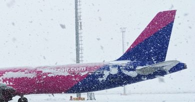 87 пассажирам не попавшим на рейс Wizz Air обменяют билеты