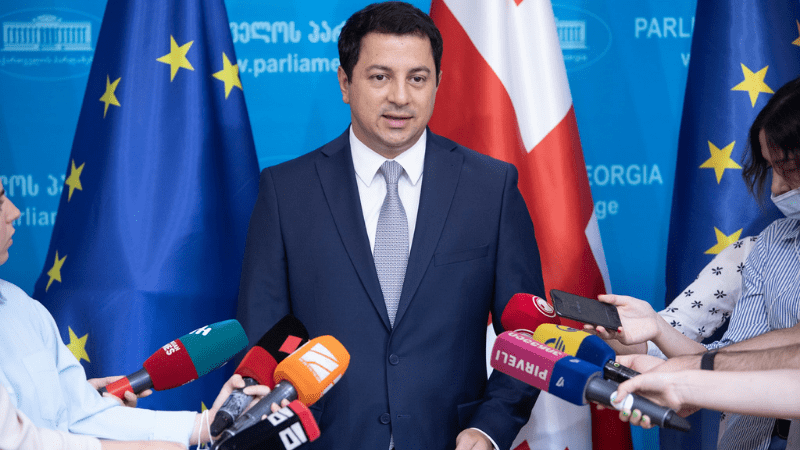 Вице-спикер парламента Грузии заявил, что закон об иноагентах «не может считаться шагом назад, так как еще не принят»