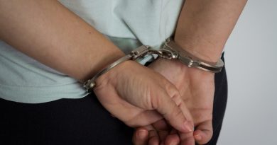 Арестован мужчина, обвиняемый в изнасиловании семилетней племянницы