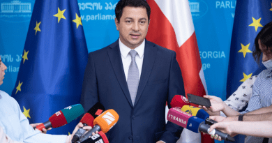 Вице-спикер парламента Грузии заявил, что закон об иноагентах «не может считаться шагом назад, так как еще не принят»