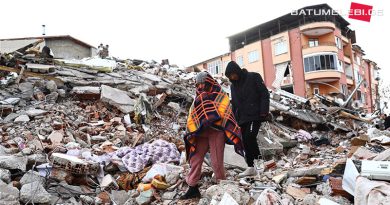 Грузия выделила 1 млн лари на помощь пострадавшим от землетрясения в Турции
