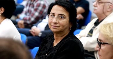 Еще один депутат «Грузинской мечты» поддержала закон «О прозрачности иностранного влияния»