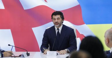Каладзе: «Приветствую появление Мерабишвили»