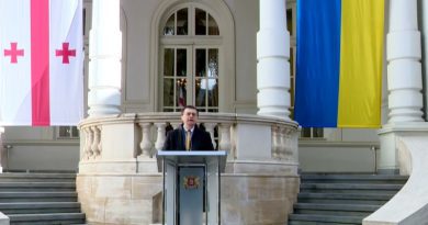 Касьянов: «Все украинские флаги, поднятые рядом с грузинским, являются доказательством солидарности грузинского народа»