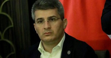 Мдинарадзе: «Грузинская мечта» поддержит законопроект «Об иноагентах»»