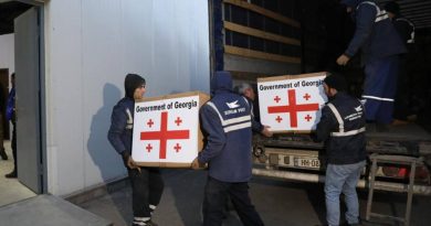 Правительство Грузии отправило в Турцию 100 тонн гуманитарного груза