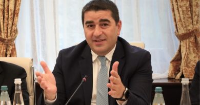 Спикер парламента Грузии недоволен критикой законопроекта об «иноагентах»