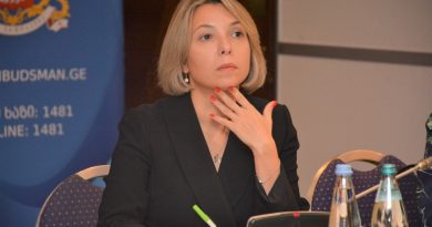Экс-омбудсмен считает законопроект об «иноагентах» диверсией по уничтожению европейской перспективы Грузии