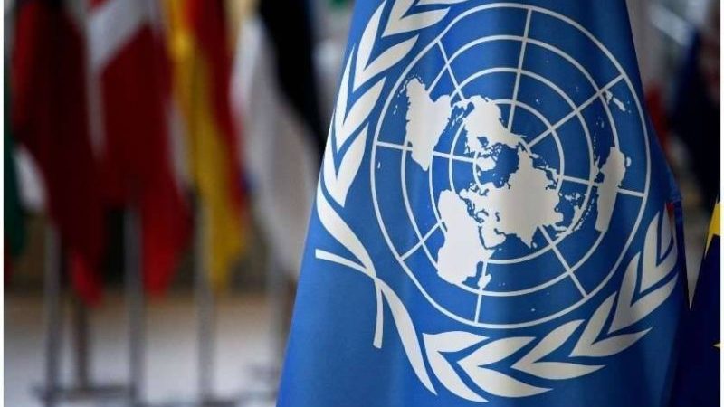 Представители грузинской молодежи в ООН призвали не принимать закон об «иноагентах»