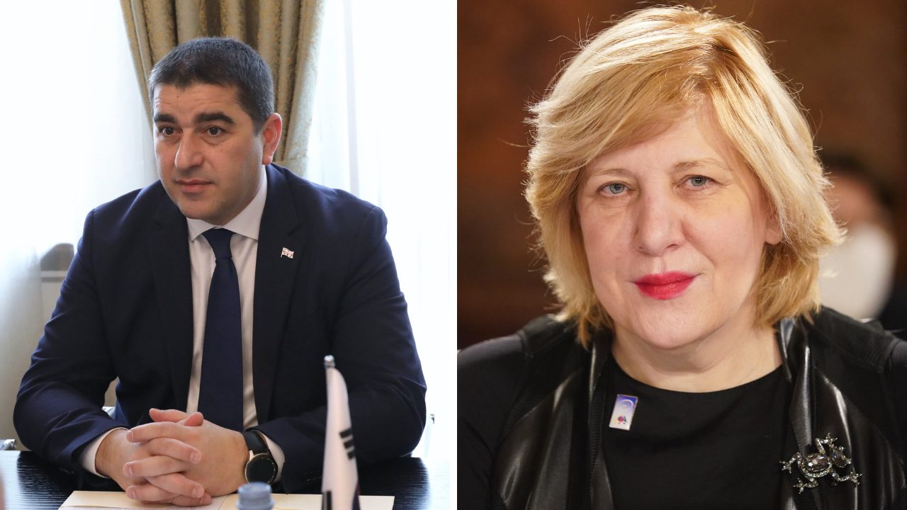 Спикер Парламента Грузии ответил комиссару СЕ по правам человека
