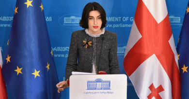 Бочоришвили: «Называть правительство Грузии российским — преступление»