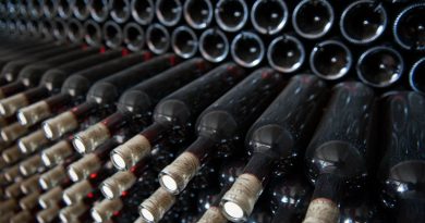 В Москве заговорили о создании лаборатории для сертификации грузинских вин по нормативам РФ