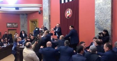 В Парламенте Грузии во время обсуждения законопроектов об иноагентах произошло противостояние