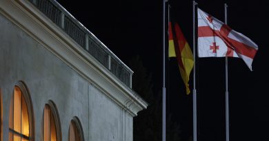 Во время прибытия главы МИД ФРГ в Грузию в аэропорту не был установлен флаг ЕС