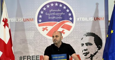 Глава «Национального движения» прокомментировал вызов посла Норвегии в МИД Грузии