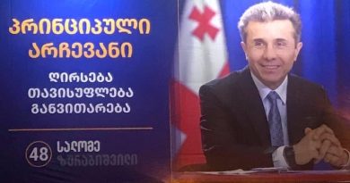 Депутаты «Грузинской мечты» извинились за поддержку Саломе Зурабишвили на выборах