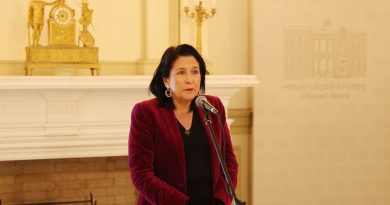 Зурабишвили назвала неприемлемым заявление спикера парламента о молодежи