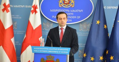 Народный защитник Грузии опубликовал отчет по протестам 7-9 марта