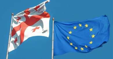 Посольство ЕС приветствует заявление «Грузинской мечты» об отзыве законопроекта об «иноагентах»
