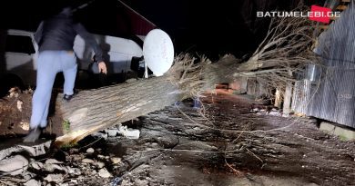Ураган в Аджарии: В Кобулети из-за упавшего дерева погиб человек