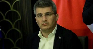 Член «Грузинской мечты»: «Обвинения в адрес политиков могут расцениваться как ложный донос и наказываться»