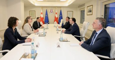Гарибашвили встретился с заместителем госсекретаря США