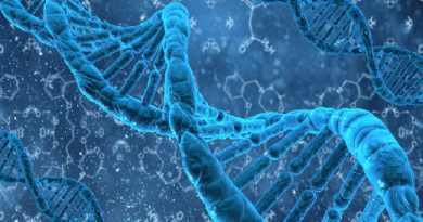 Генетик Крутовский объяснил, почему не стоит бояться ГМО в ДНК