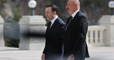 «Мы обсудили много важных вопросов» — Алиев встретился с Гарибашвили