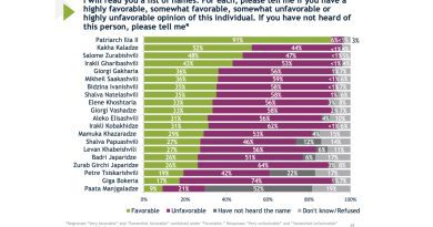 Опрос IRI: Зурабишвили обошла Гарибашвили в рейтинге популярности