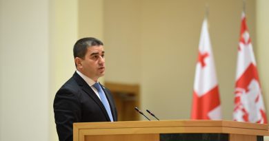 Папуашвили: «Надеюсь Давид Кезерашвили будет передан Грузии»