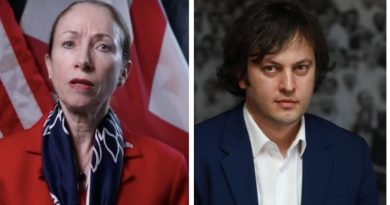 Посол США в Грузии заявила, что не знает какие телефонные разговоры упоминал Кобахидзе