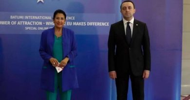 Президент Грузии обвиняет правительство. Её визит в Страсбург перенесён