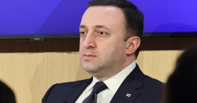 Премьер Грузии сравнил акции против российского закона со штурмом Капитолия