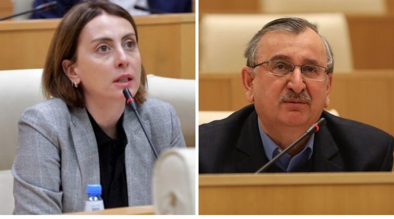 Бывшие члены «Нацдвижения» создают в Парламенте Грузии политическую группу